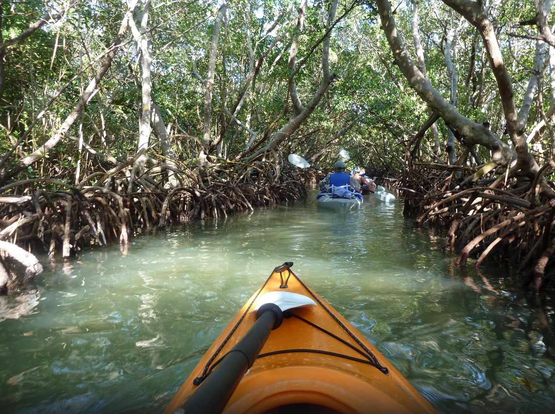 Ted Sperling Park - Lido Key's Nature and Kayaking Park1143 x 853